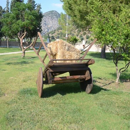 Oasis Apart Hotel Dalyan Buitenkant foto